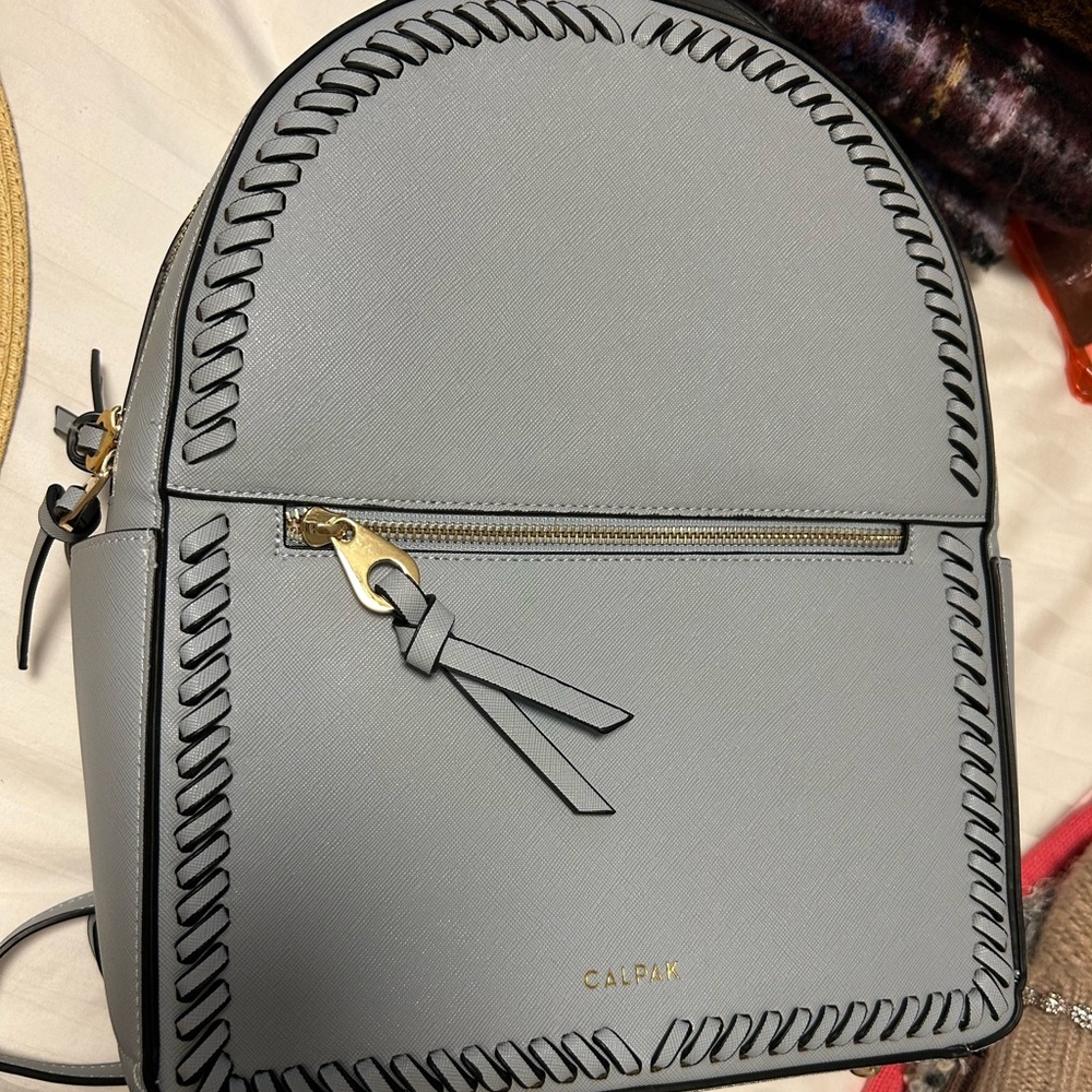 Calpak Backpack - image 1